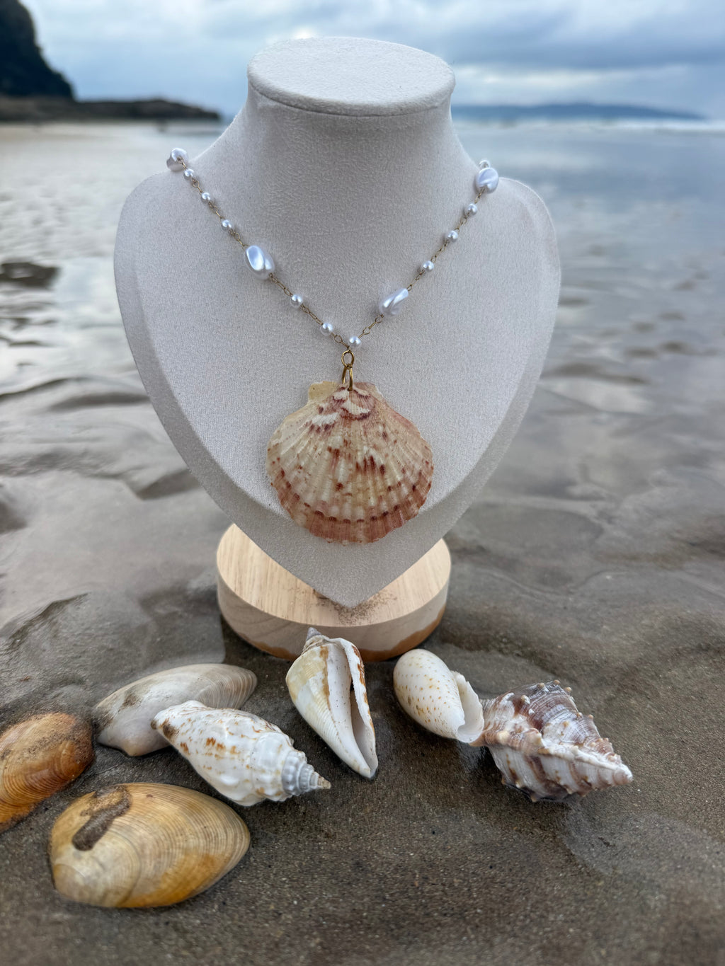Afterglow at Dunluce Pearl Scallop Necklace