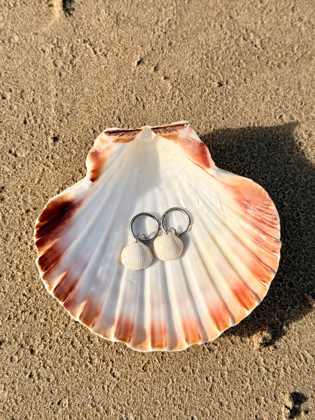 Causeway Shell Earrings Silver