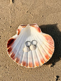Causeway Shell Earrings Silver