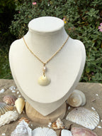 Ivory Shore Shell Necklace