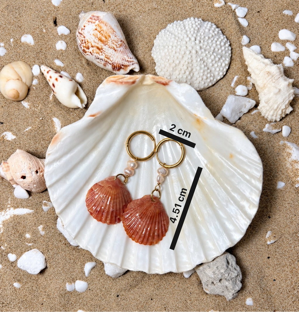 The Blushing Tide Scallop Earrings