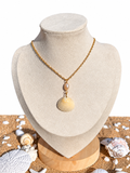 Ivory Shore Shell Necklace