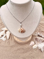 Mussenden Pearl Shell Necklace