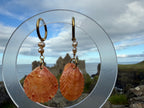 The Blushing Tide Scallop Earrings