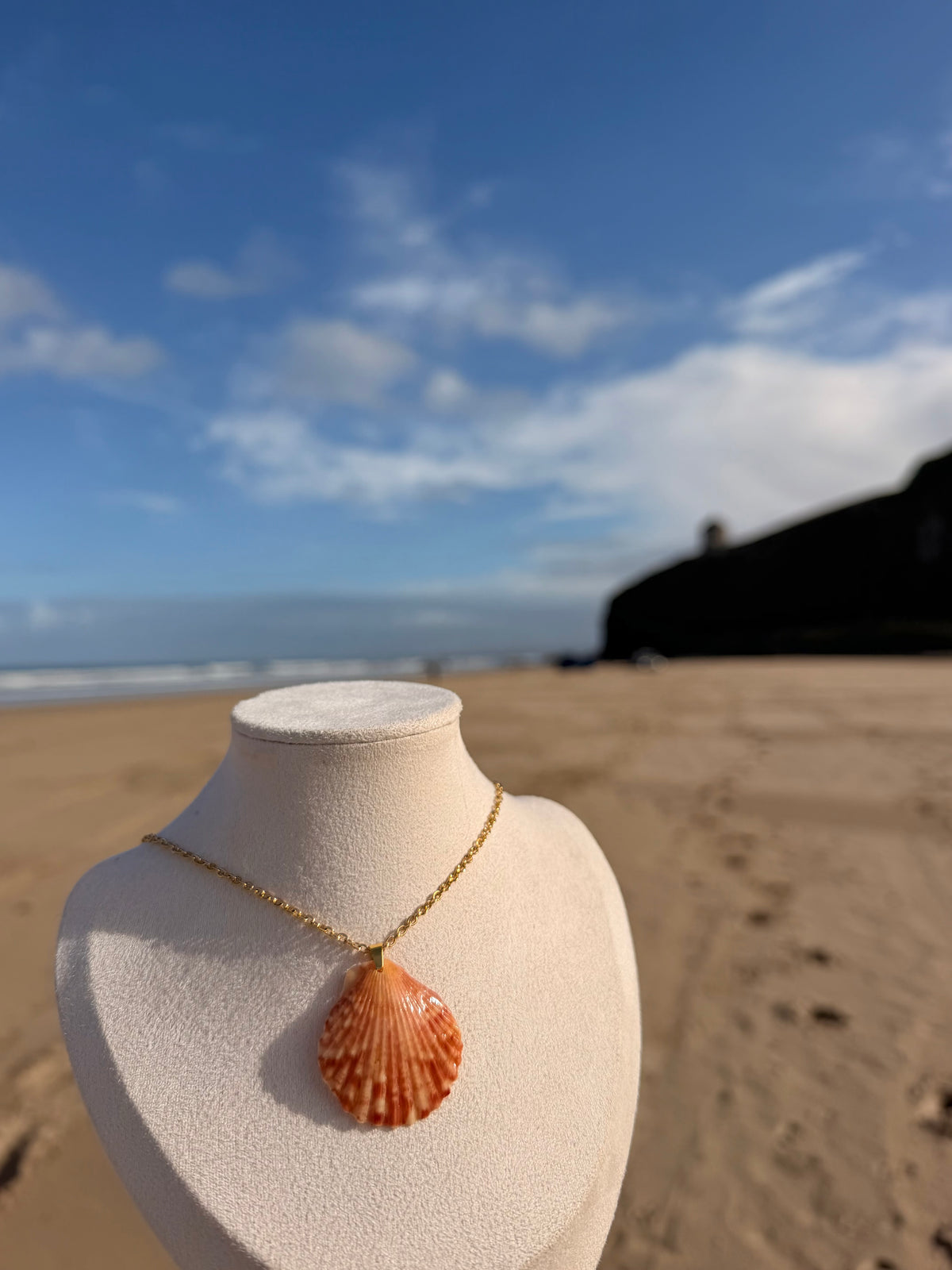Mussenden Scallop Necklace