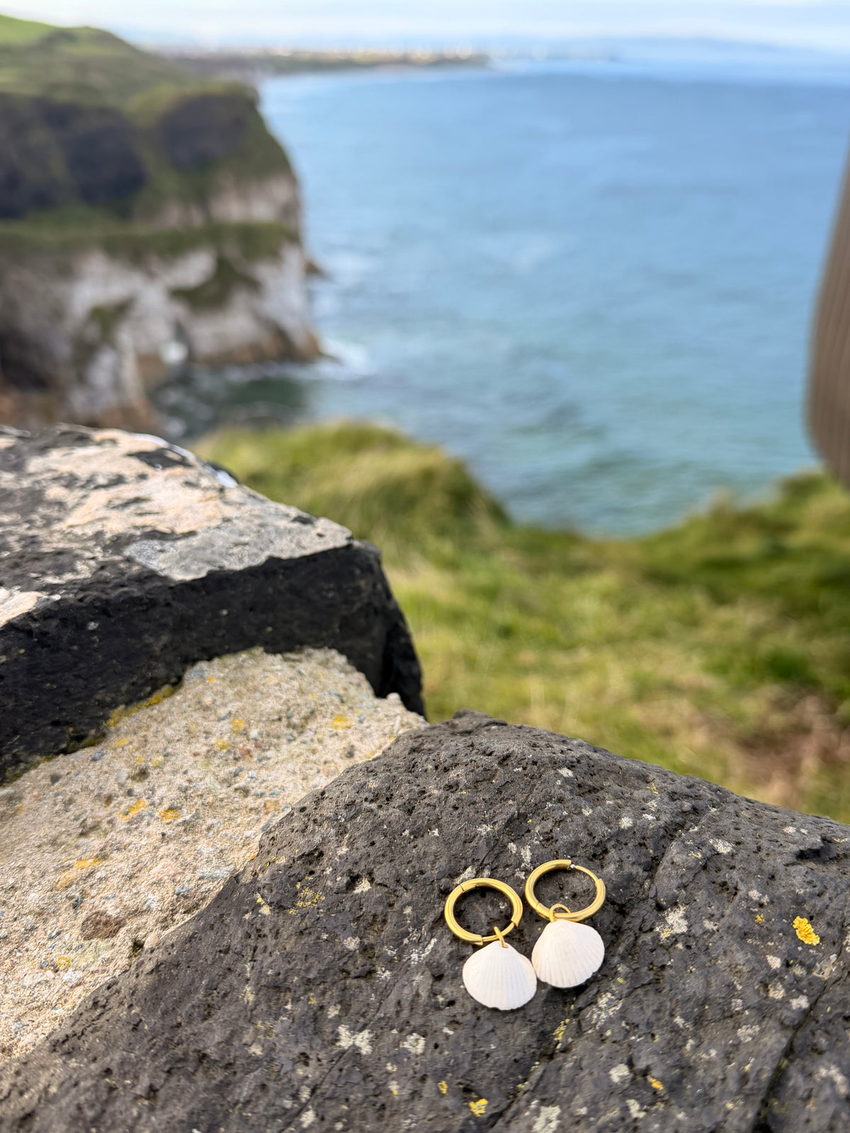 Causeway Shell Earrings Gold