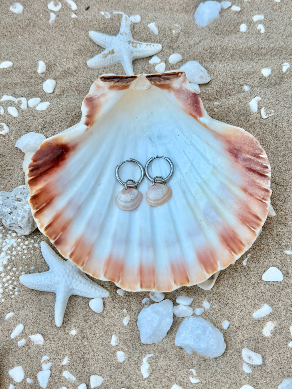 Causeway Blush Shell Hoop Earrings