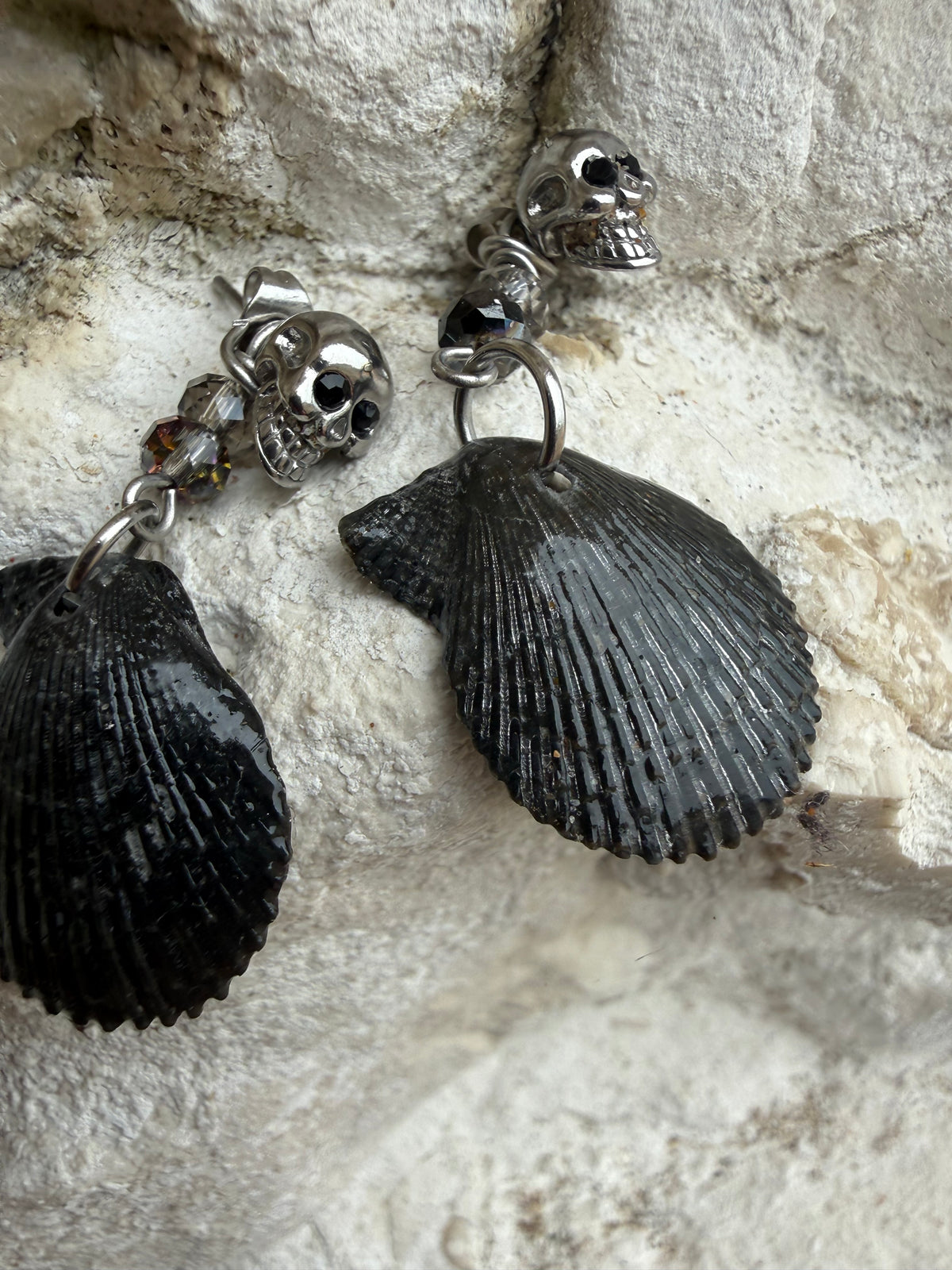 Midnight at Mussenden Skull & Scallop Earrings