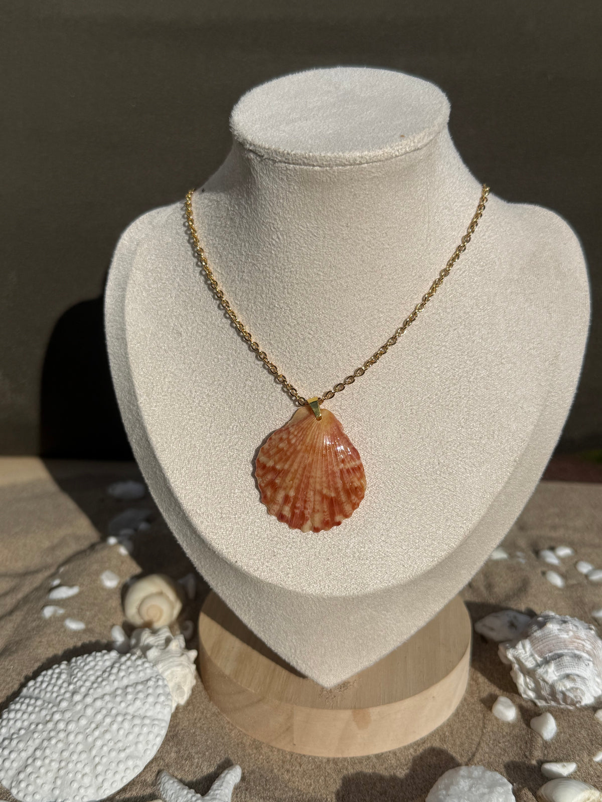Mussenden Scallop Necklace