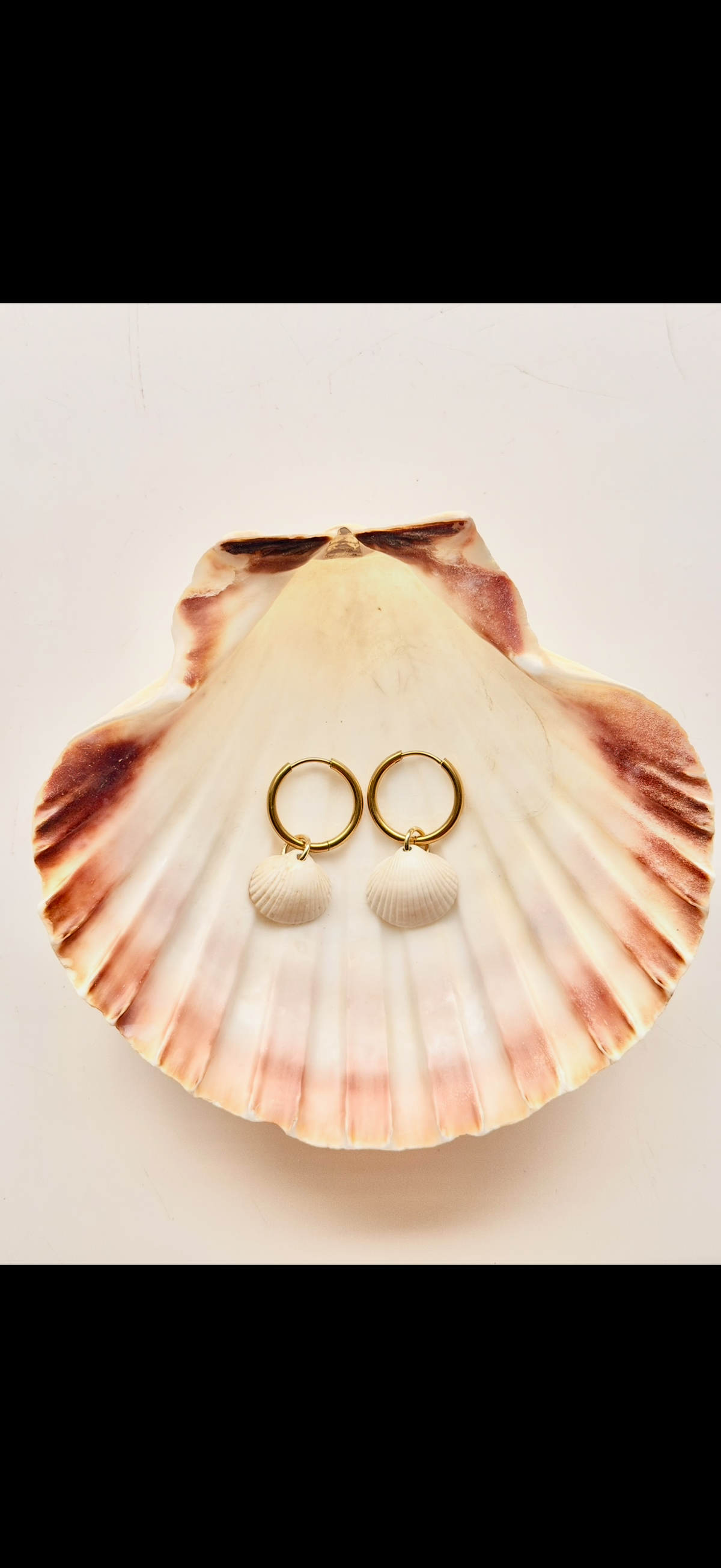 Causeway Shell Earrings Gold