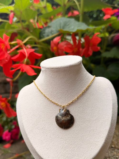 Benone Scallop Necklace
