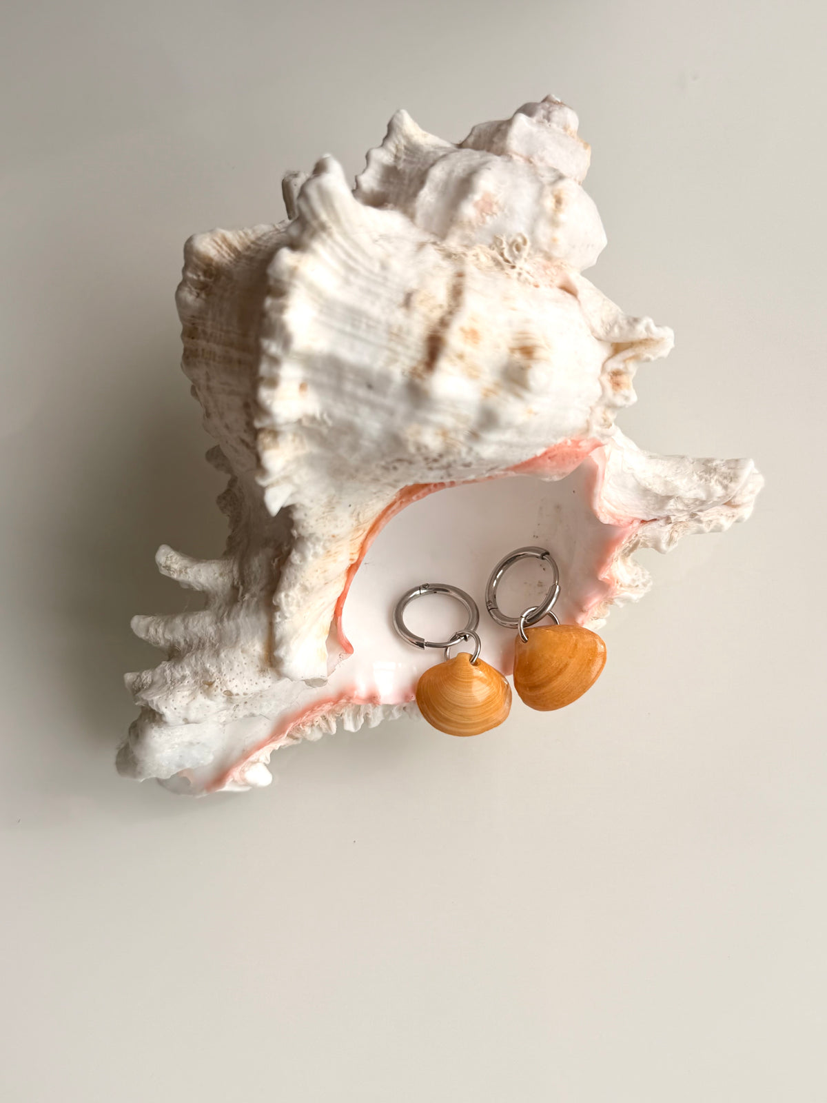 Causeway Shell Earrings