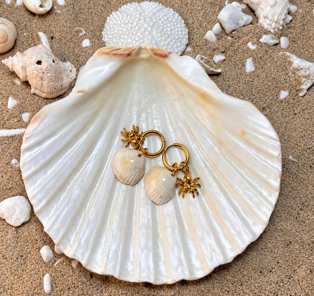 The Spiders Secret Shell Earrings