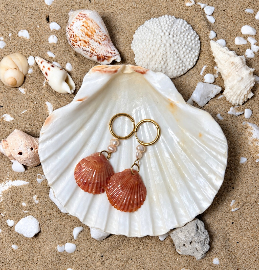 The Blushing Tide Scallop Earrings