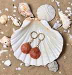The Blushing Tide Scallop Earrings