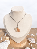 Mussenden Pearl Shell Necklace