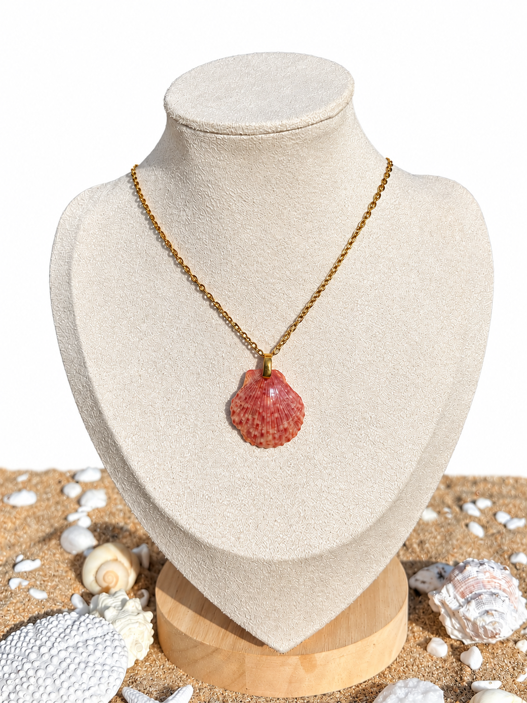 Mussenden Scallop Necklace