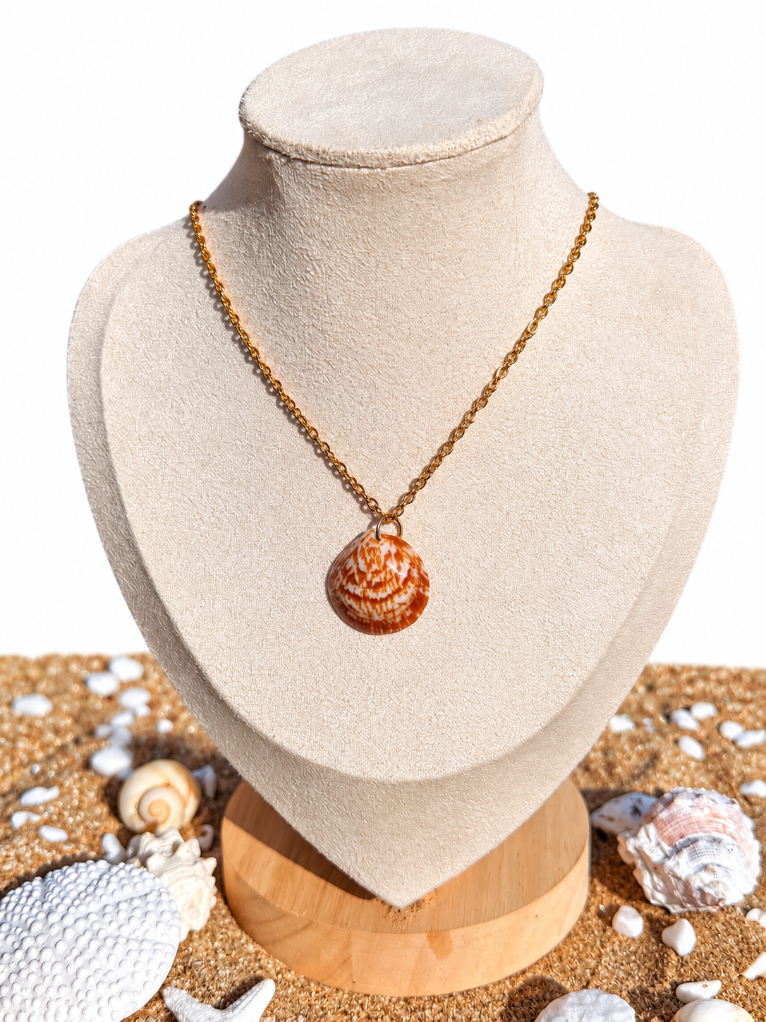 Causeway Classic Shell Necklace
