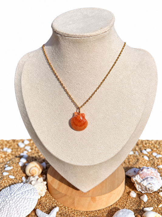 Amber Shore Scallop Necklace