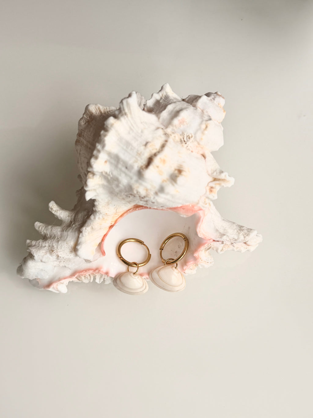 Causeway Shell Hoop Earrings