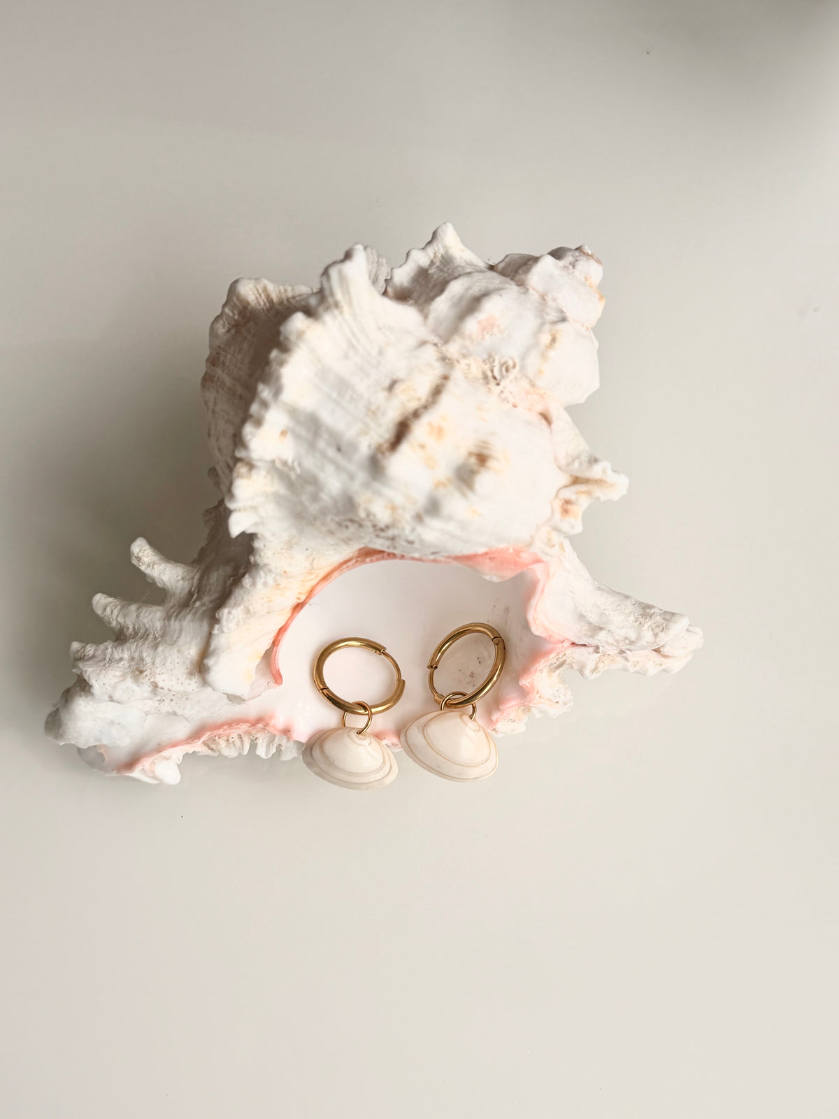 Causeway Shell Hoop Earrings