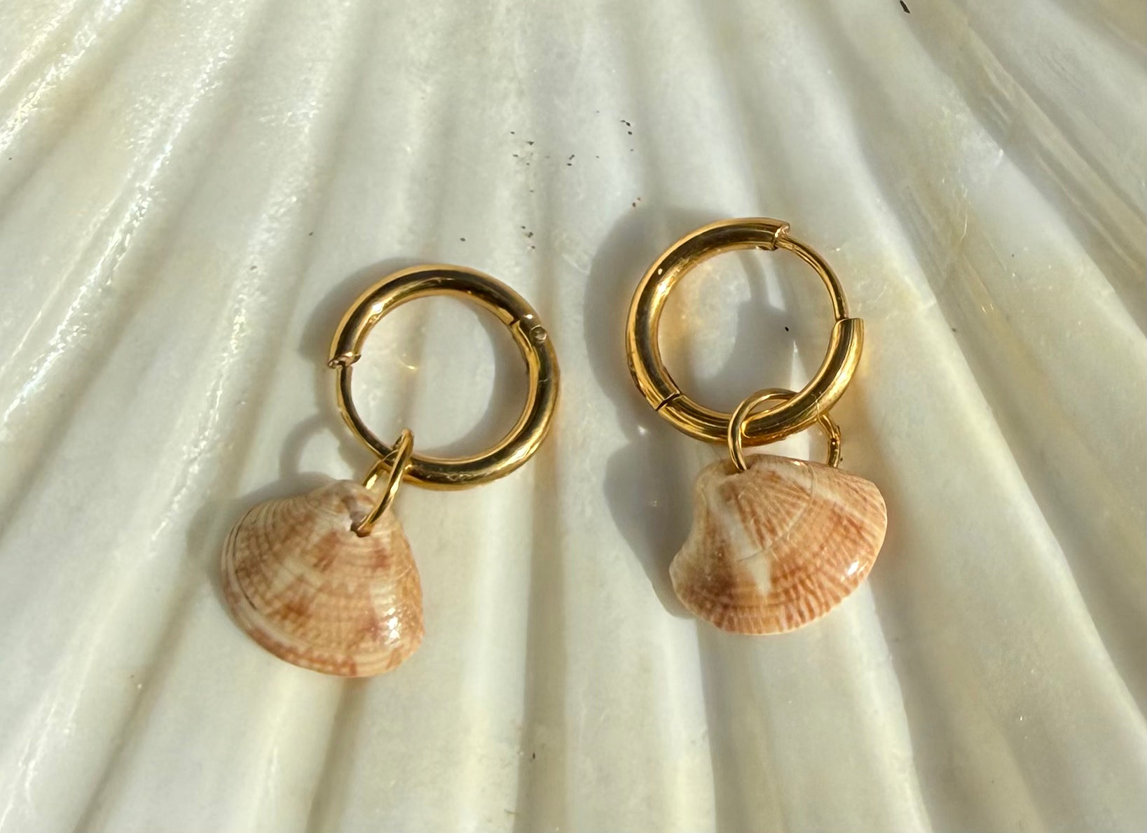 Causeway Shell Earrings
