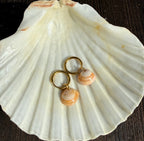 Causeway Shell Earrings