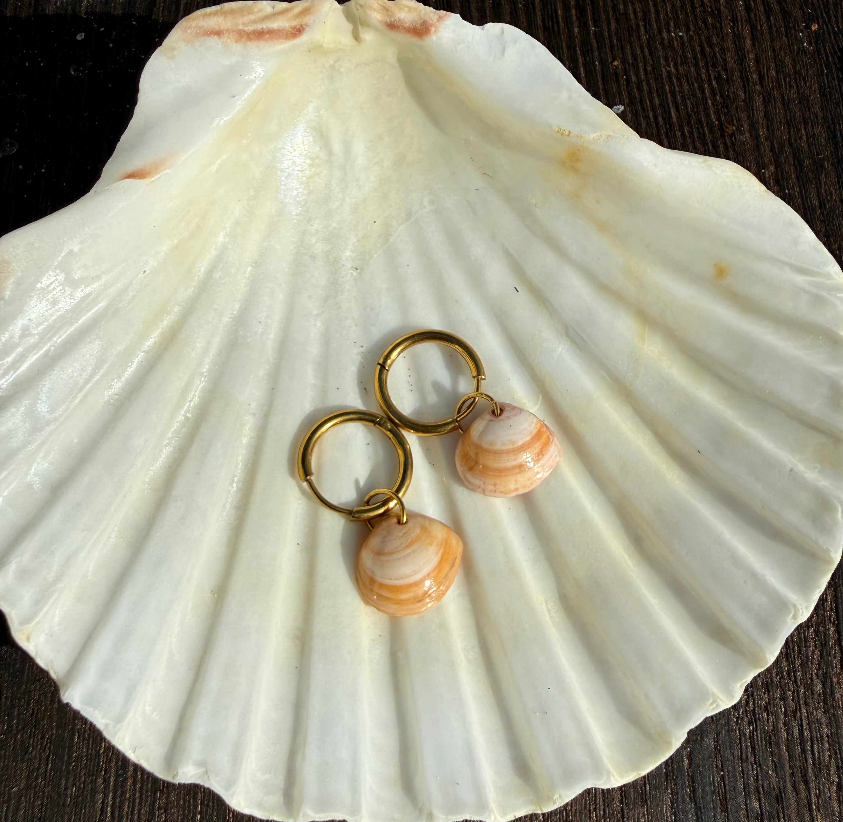 Causeway Shell Earrings