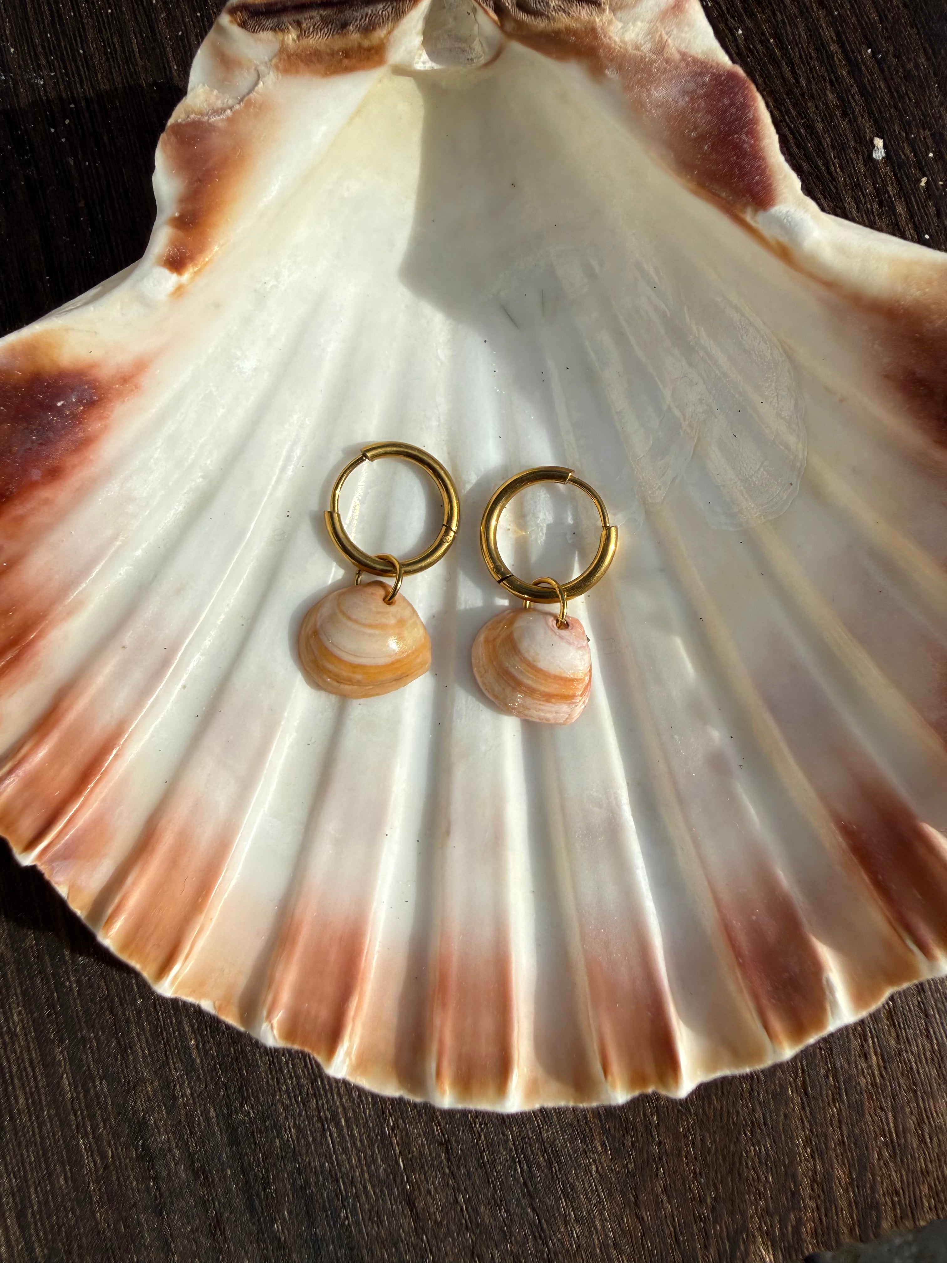 Causeway Shell Earrings